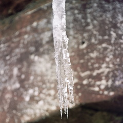 Ice on the Sheltowee Trace